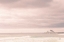 Picture of LIGHT HOUSE
