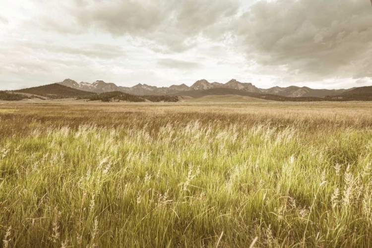 Picture of SAWTOOTH MOUNTAINS IDAHO II