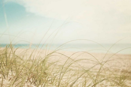 Picture of BEACH GRASS V LIGHT