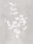 Picture of BOTANICAL STUDY II NEUTRAL CROP