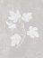 Picture of BOTANICAL STUDY III NEUTRAL CROP