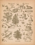 Picture of VINTAGE ALPHABET II