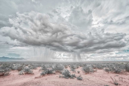 Picture of NEW MEXICO RAIN