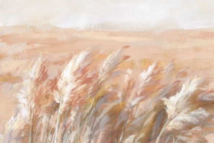 Picture of TERRACOTTA PRAIRIE GRASSES