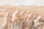 Picture of TERRACOTTA PRAIRIE GRASSES
