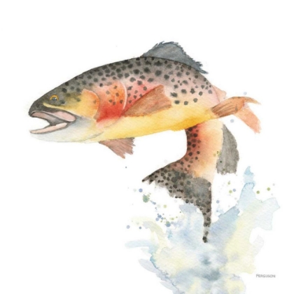 Picture of CUTTHROAT TROUT