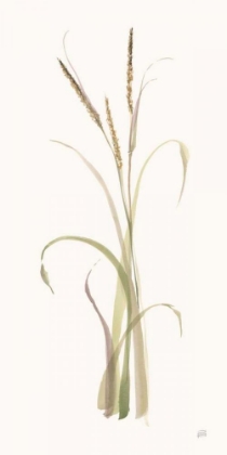 Picture of LYME GRASS