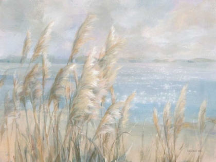 Picture of SEASIDE PAMPAS GRASS