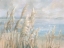 Picture of SEASIDE PAMPAS GRASS