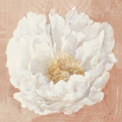 Picture of SERENE PEONY TERRACOTTA