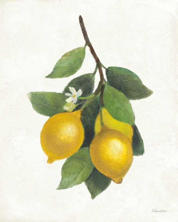 Picture of LEMON BRANCH III