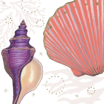 Picture of SHIMMERING SHELLS I