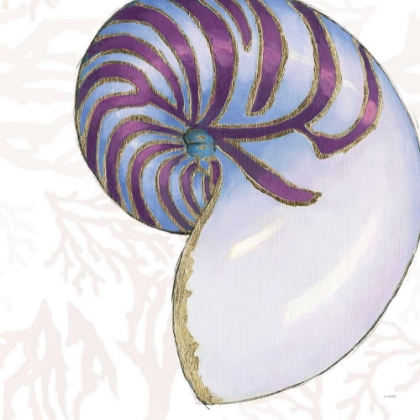 Picture of SHIMMERING SHELLS VI