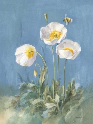 Picture of WHITE POPPIES II