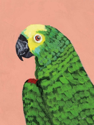 Picture of PARROT HEAD