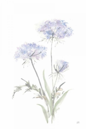 Picture of TALL QUEEN ANNES LACE I