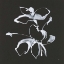 Picture of WILDFLOWERS III