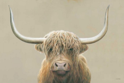 Picture of HIGHLAND COW NEUTRAL