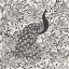 Picture of PEACOCK GARDEN III BW