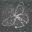 Picture of SILVER WINGS II