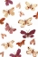 Picture of GARDEN DANCE BUTTERFLIES