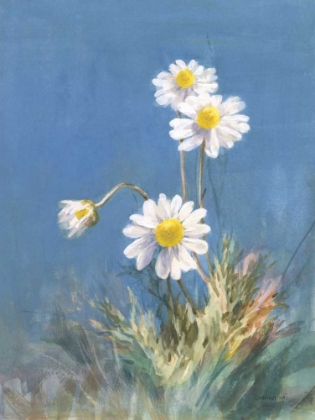 Picture of WHITE DAISIES NO BUTTERFLY