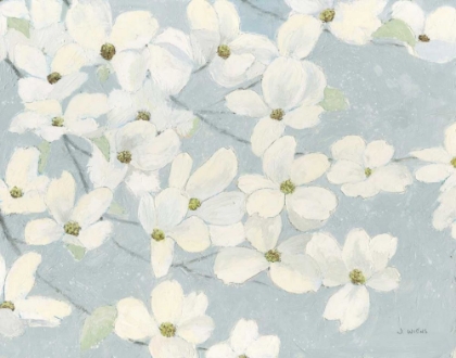 Picture of SPRING DOGWOODS BLUE