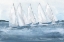 Picture of GROUP SAIL II