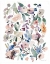 Picture of BREEZY FLORALS III COLORFUL