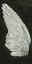 Picture of WINGS II
