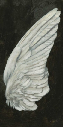 Picture of WINGS III