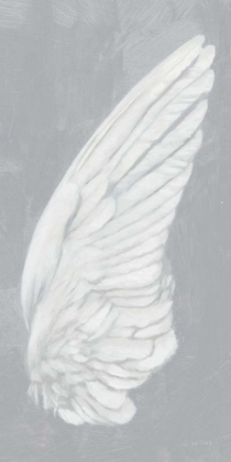 Picture of WINGS III ON GRAY