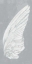 Picture of WINGS III ON GRAY