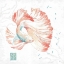 Picture of DELICATE SEA II