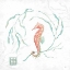 Picture of DELICATE SEA III