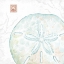 Picture of DELICATE SEA IX