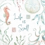 Picture of DELICATE SEA XIII