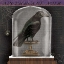 Picture of APOTHECARY NOIR I
