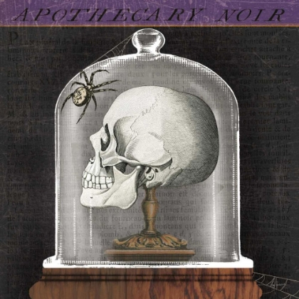 Picture of APOTHECARY NOIR II