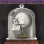 Picture of APOTHECARY NOIR II