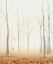 Picture of FALL IN THE FOREST II