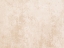 Picture of DISTRESSED WALLS