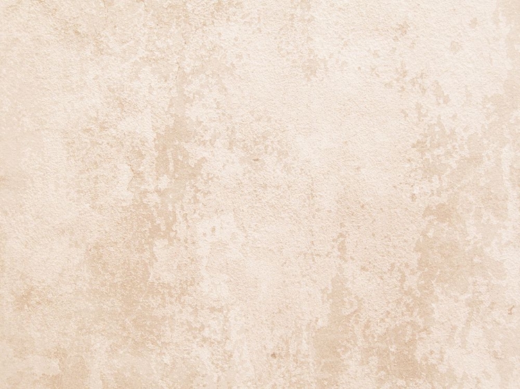 Picture of DISTRESSED WALLS