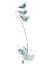 Picture of MEDITERRANEAN PEA H48
