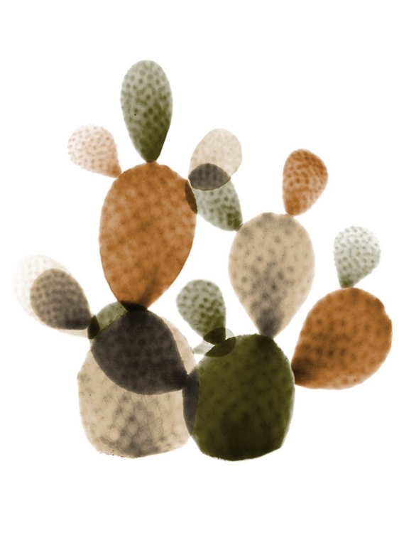 Picture of URBAN CACTUS BUNCH 2