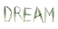 Picture of DREAM