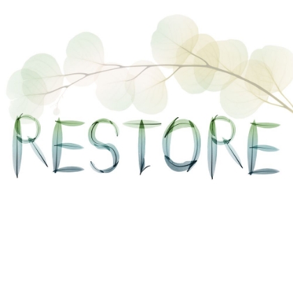 Picture of RESTORE