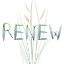 Picture of RENEW