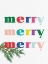Picture of MERRY MERRY MERRY