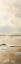 Picture of GOLDEN SEA 2